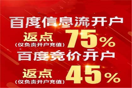 深度剖析：百度竞价推广代运营在某电商平台的成功实践